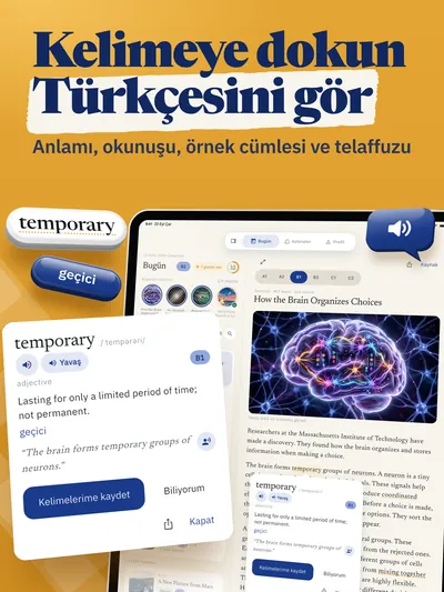 Kelimeye dokun, Türkçesini gör, iPad'de: dokunulan kelimenin kartı haberin yanında açılır